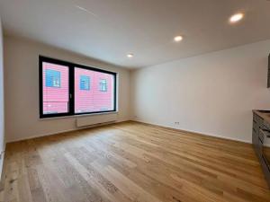 Pronájem bytu 1+kk, Praha - Holešovice, U průhonu, 35 m2
