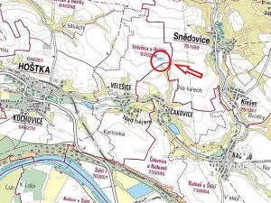 Prodej podílu lesa, Hoštka, 2353 m2
