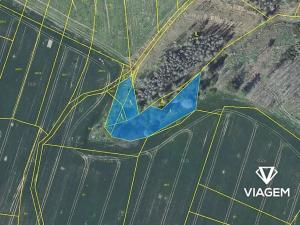 Prodej podílu lesa, Radošovice, 341 m2