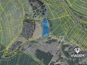 Prodej podílu lesa, Radošovice, 547 m2