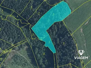 Prodej lesa, Buřenice, 5731 m2