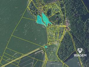 Prodej podílu lesa, Dolní Kralovice, 1544 m2