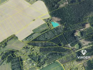 Prodej podílu lesa, Česká Třebová, 655 m2