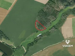 Prodej podílu lesa, Věžnice, 366 m2