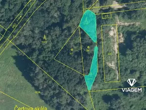 Prodej podílu lesa, Přelouč, 241 m2