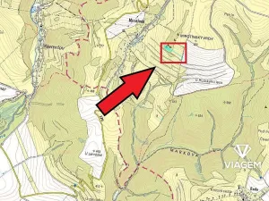 Prodej lesa, Tvrdkov, 5752 m2