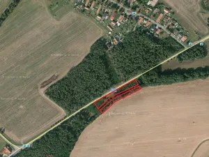 Prodej podílu lesa, Živanice, 2017 m2