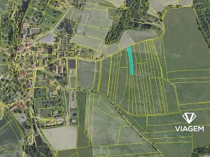 Prodej podílu pole, Skryje, 335 m2