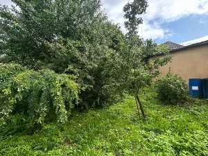 Prodej rodinného domu, Obora, 80 m2