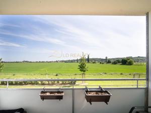 Pronájem bytu 1+kk, Olomouc, Topolová, 30 m2