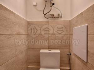 Pronájem bytu 1+1, Týniště nad Orlicí, Družstevní, 39 m2