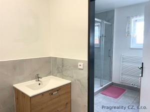 Pronájem bytu 1+kk, Roztoky, 12 m2
