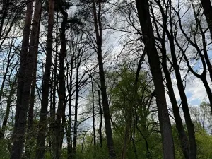 Prodej pozemku, Třeboň, 14477 m2