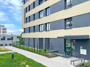 Prodej bytu 1+kk, Praha - Žižkov, Olgy Havlové, 33 m2