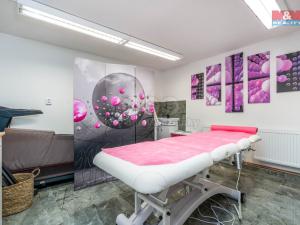 Prodej rodinného domu, Mnichovo Hradiště, Lesní, 220 m2