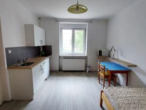 Pronájem bytu 1+kk, Plzeň, Pod Záhorskem, 20 m2