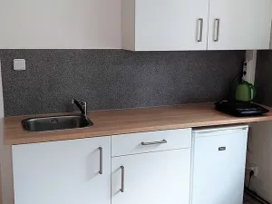 Pronájem bytu 1+kk, Plzeň, Pod Záhorskem, 20 m2
