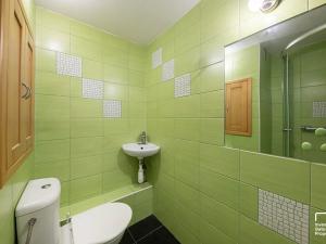 Prodej bytu 1+kk, České Budějovice, Fr. Ondříčka, 23 m2
