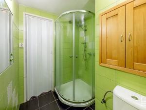 Prodej bytu 1+kk, České Budějovice, Fr. Ondříčka, 23 m2
