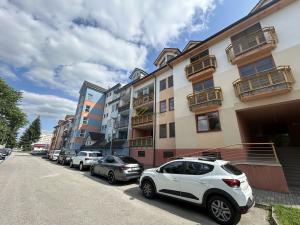 Pronájem bytu 2+kk, České Budějovice - České Budějovice 3, U Trojice, 58 m2