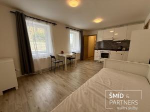 Pronájem bytu 1+kk, Lošany, 25 m2