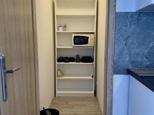 Pronájem bytu 1+kk, Lošany, 25 m2