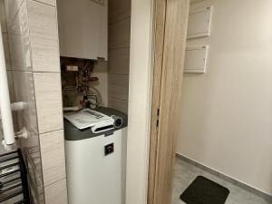 Pronájem bytu 1+kk, Lošany, 25 m2