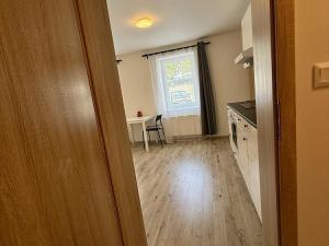 Pronájem bytu 1+kk, Lošany, 25 m2