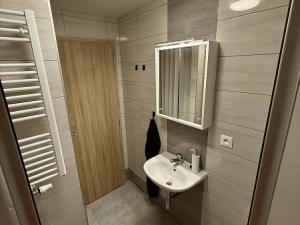 Pronájem bytu 1+kk, Lošany, 25 m2