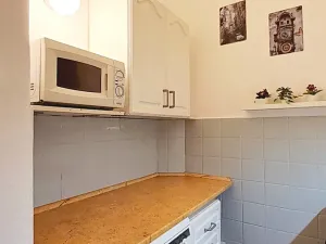 Pronájem bytu 1+kk, Praha - Vysočany, Prouzova, 36 m2