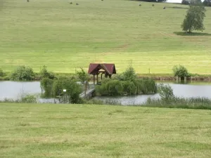 Prodej chalupy, Strašice, 231 m2