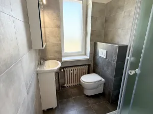 Pronájem bytu 1+kk, Ostrava, Ruská, 31 m2