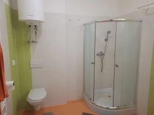 Pronájem bytu 1+kk, Brno, Vídeňská, 22 m2