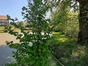Prodej zemědělské usedlosti, Křečovice, 549 m2