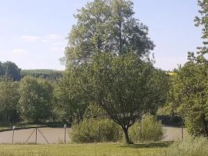 Prodej zemědělské usedlosti, Křečovice, 549 m2