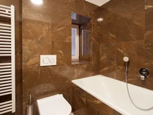 Pronájem bytu 2+kk, Brno, Masarykova, 62 m2