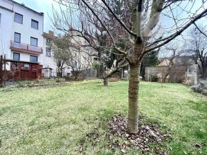 Pronájem bytu 2+kk, Brno, Spáčilova, 62 m2