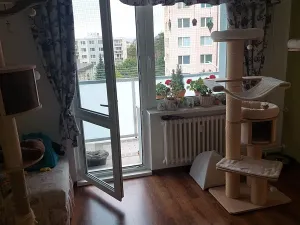Prodej bytu 3+1, Třebíč, Energetiků, 70 m2