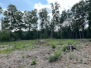 Prodej chalupy, Dudín, 90 m2