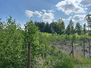 Prodej chalupy, Dudín, 90 m2