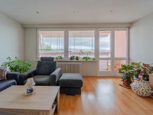 Prodej bytu 3+1, Dolní Benešov, 75 m2