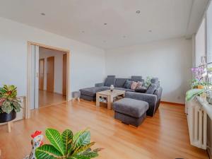 Prodej bytu 3+1, Dolní Benešov, 75 m2