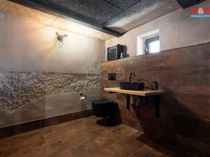 Prodej obchodního prostoru, Ostrava - Hrabová, Jezdiště, 250 m2