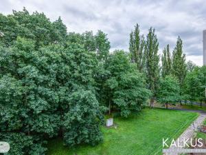 Prodej bytu 4+1, Hradec Králové - Pražské Předměstí, Jungmannova, 97 m2
