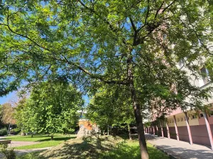Pronájem bytu 1+1, Uherské Hradiště, náměstí Republiky, 34 m2