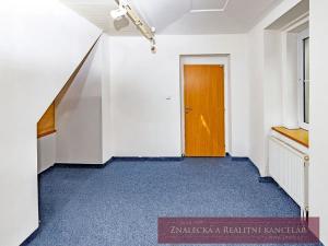 Prodej obchodního prostoru, Praha - Hodkovičky, Modřanská, 240 m2