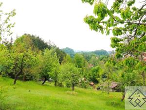 Prodej chaty, Jablonné nad Orlicí, U Vrby, 22 m2