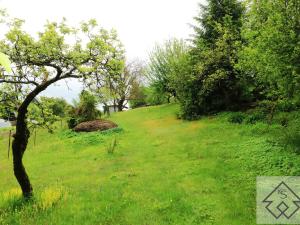 Prodej chaty, Jablonné nad Orlicí, U Vrby, 22 m2