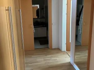 Pronájem bytu 1+kk, Praha - Žižkov, Pitterova, 32 m2