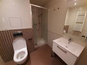 Pronájem bytu 1+kk, Praha - Žižkov, Olšanská, 37 m2